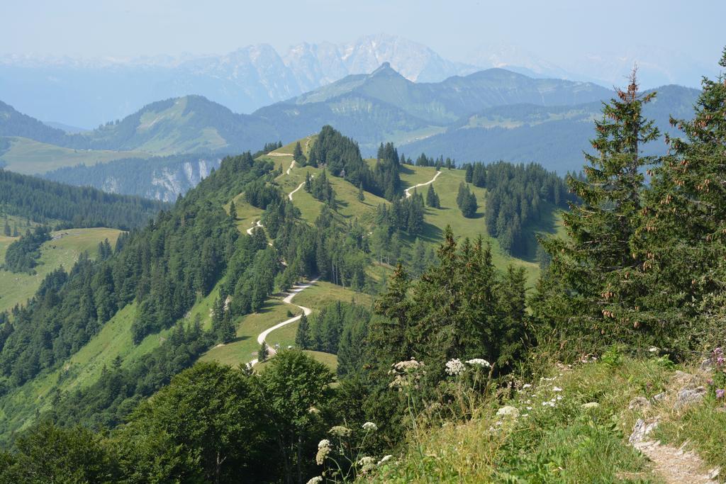 Appart Weisse Urlauben Am Wolfgangsee Санкт Гильген Экстерьер фото